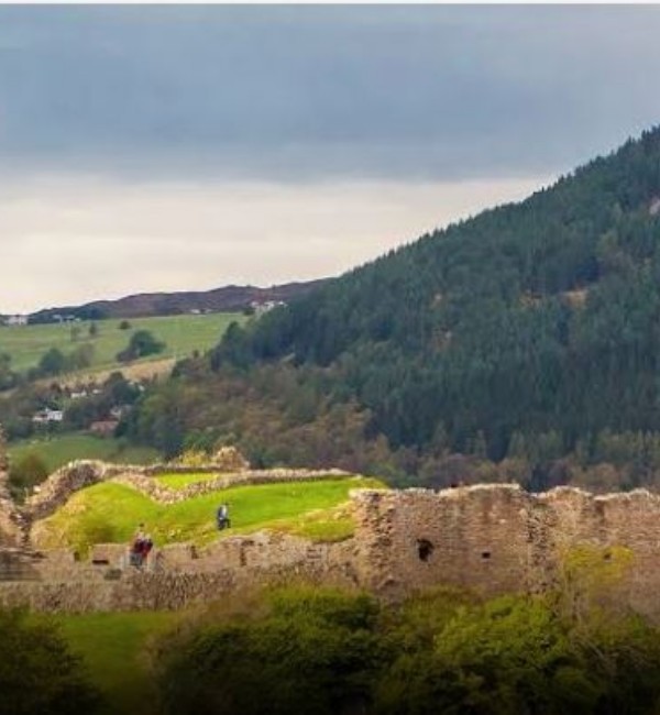 Grupo AVA Escocia