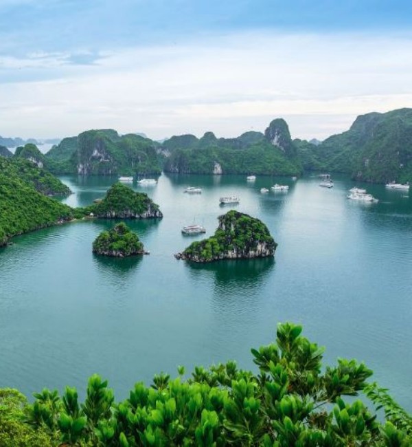 Grupo AVA Vietnam