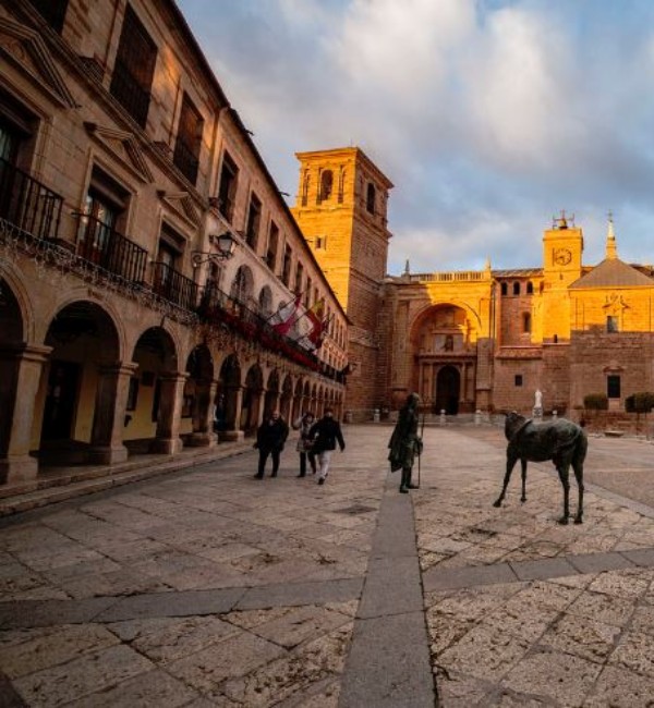 Grupo AVA La Mancha, vinos y contrastes