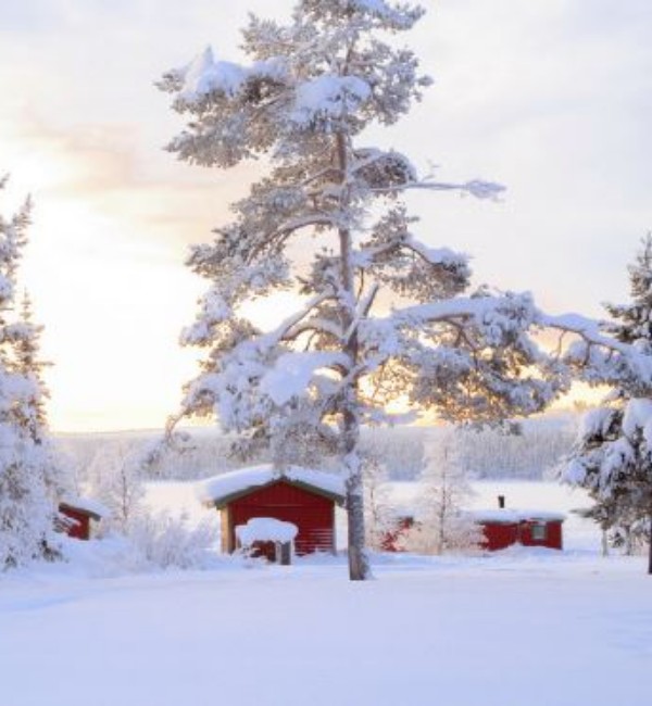 Grupo AVA Rovaniemi- Finland