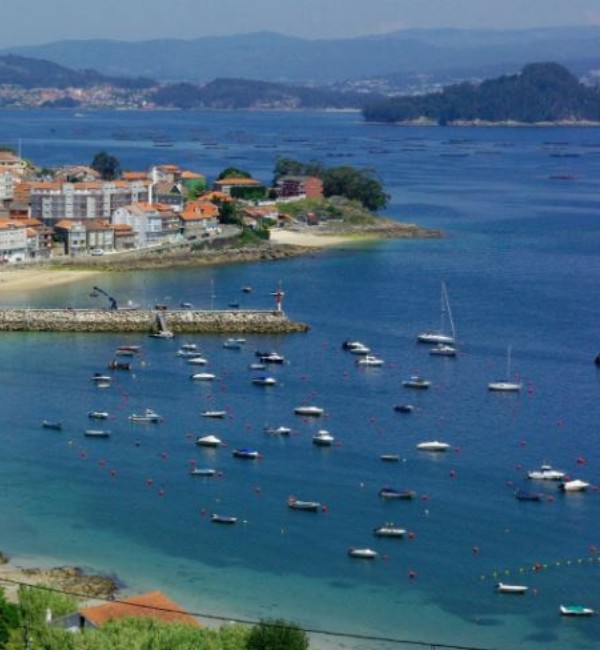 Grupo AVA Galicia  Rías Bajas y norte de Portugal