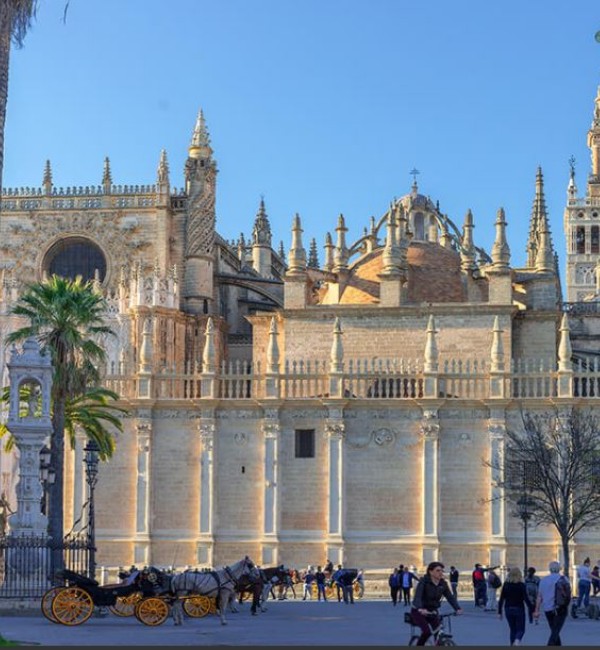 Grupo AVA Sevilla