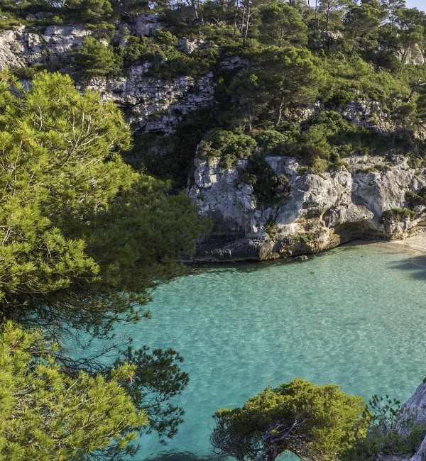 Grupo AVA Menorca