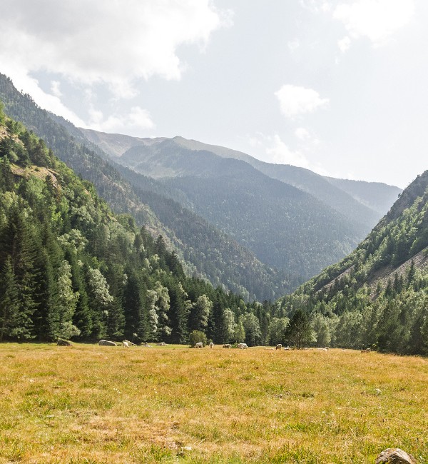 Grupo AVA Pirineos Catalanes