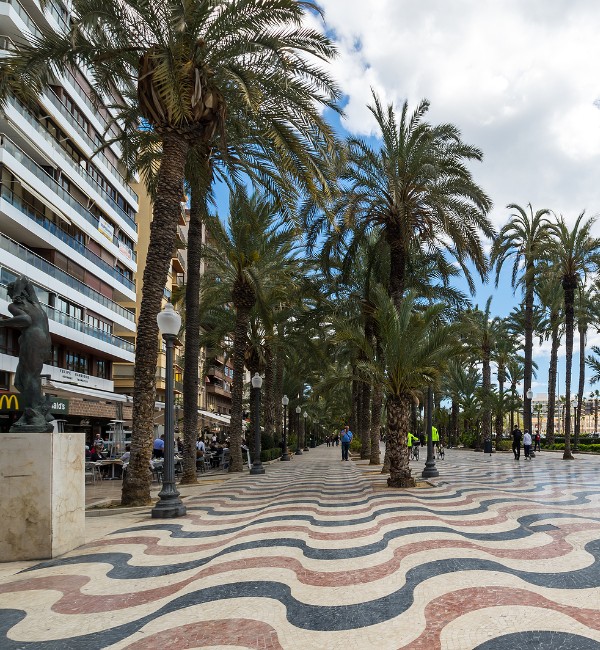 Grupo AVA Alicante - Benidorm
