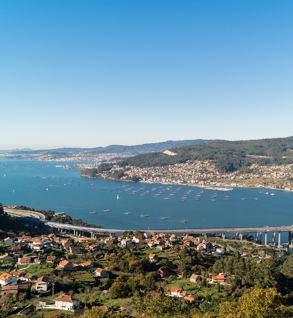 Grupo AVA Vigo