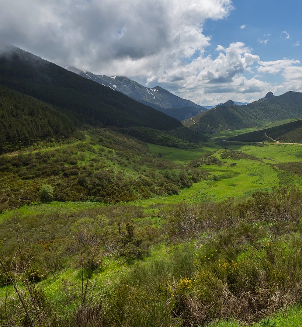 Grupo AVA Cantabria Asturias y Picos de Europa 