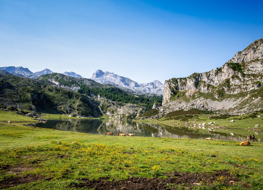 Grup AVA oferta Asturias con la Playa de las Catedrales