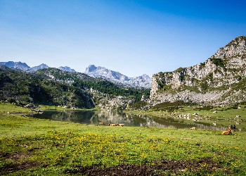 Grup AVA Asturias con la Playa de las Catedrales