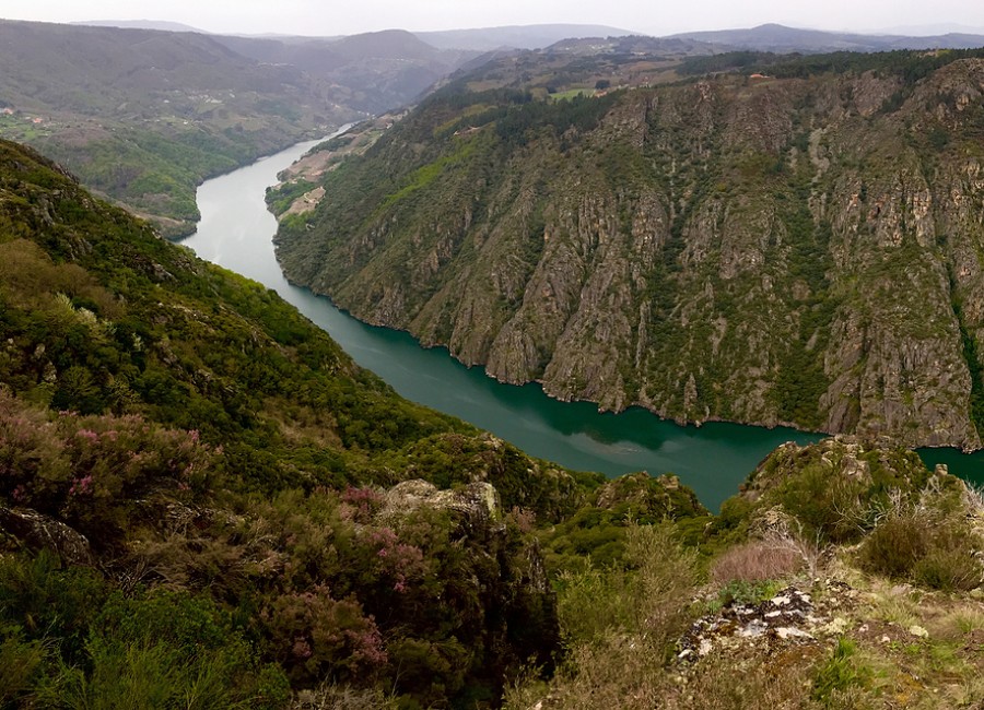 Grup AVA oferta Galicia Rias Baixas