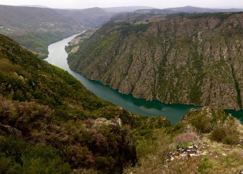 Grup AVA Galicia Rias Baixas
