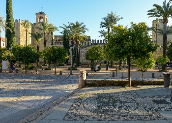 Grup AVA Granada y Cordoba